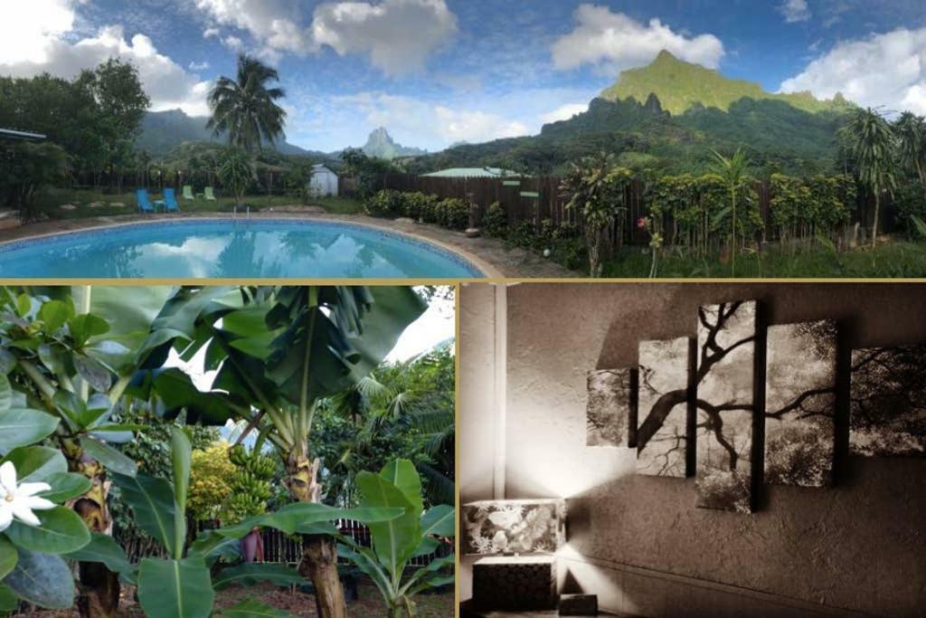 Fare Haurevaiti Moorea Paopao Exterior foto