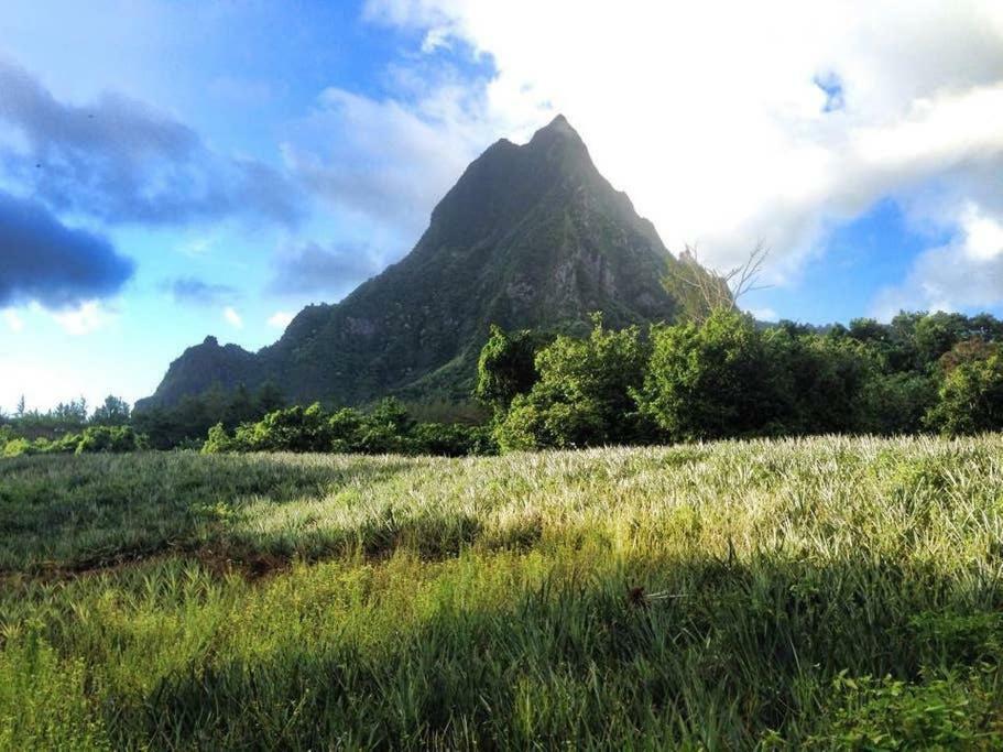 Fare Haurevaiti Moorea Paopao Exterior foto